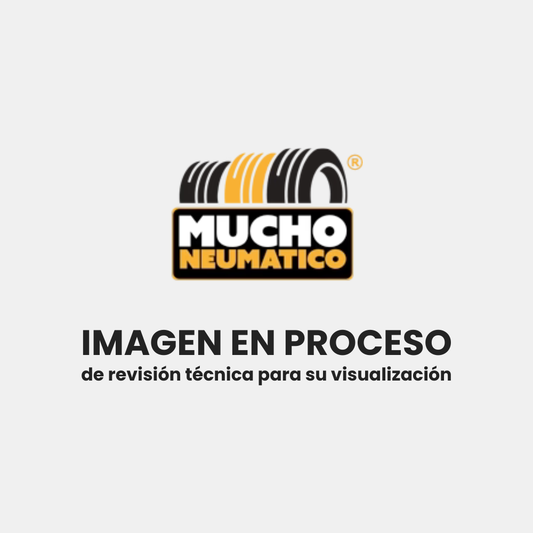 Imagen en proceso de revisión técnica para su visualización